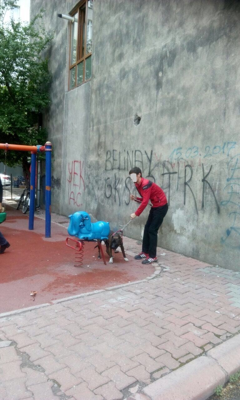 Köpeğin saldırdığı adam kolundan yaralandı