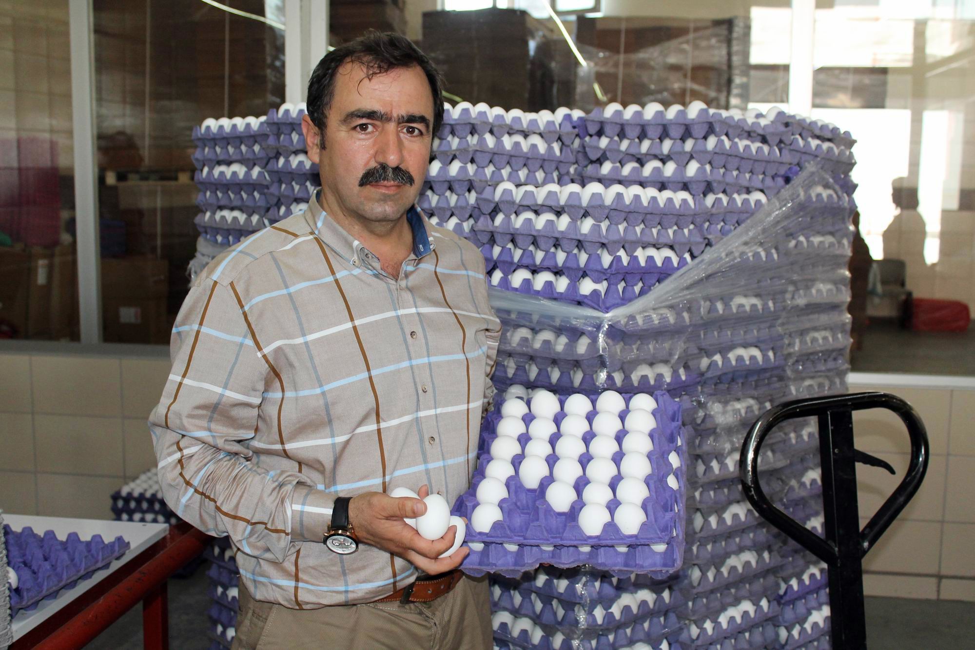 Yum-Bir Başkanı Afyon: “Türk yumurtasında zehir yok