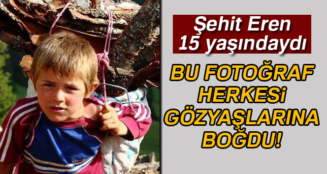DAHA 15 YAŞINDAYDI