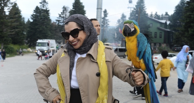 Papağanla fotoğraf çekilmek için sıraya girdiler