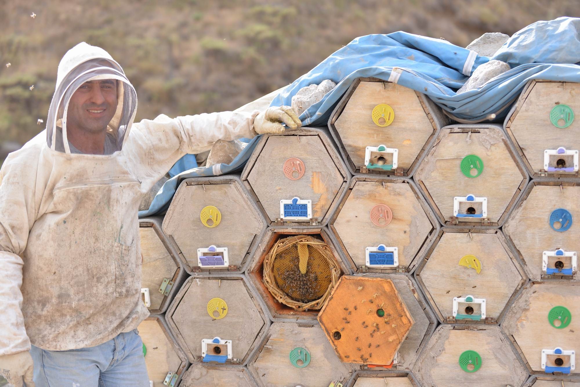 Cam kavanozda ve kütüğün içinde üretilen ballar hayrete düşürüyor