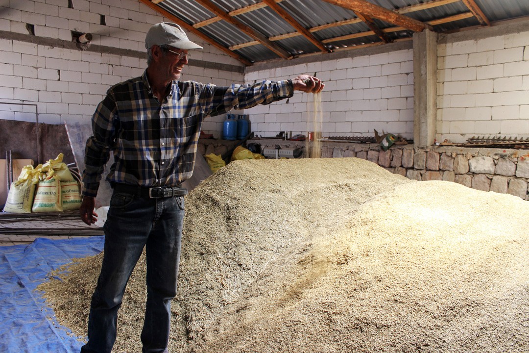 Kayseri’de kimyon üretimi artıyor