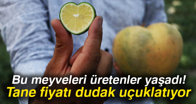 Şekle bürünen meyveler ihracatta servet oldu
