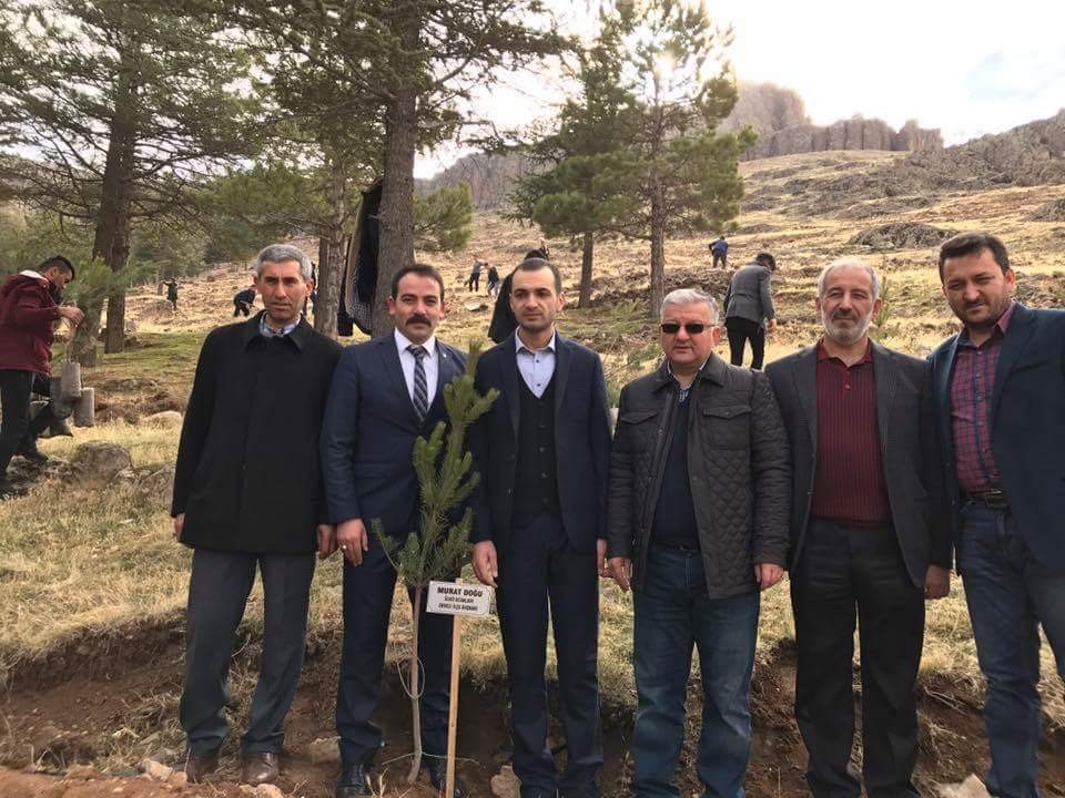 Ülkü Ocakları’dan ağaç dikme etkinliği