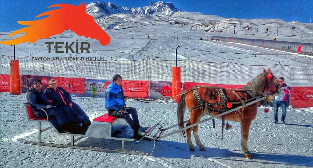 Erciyes’de atlı kızak keyfi