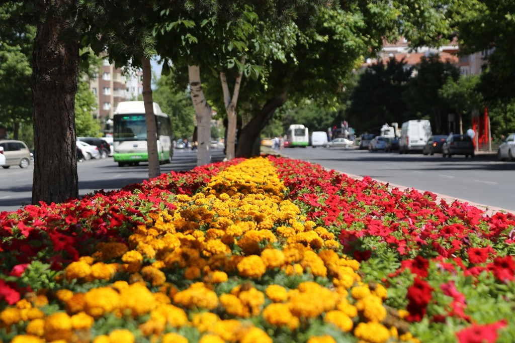 Melikgazi yine çiçek açacak 
