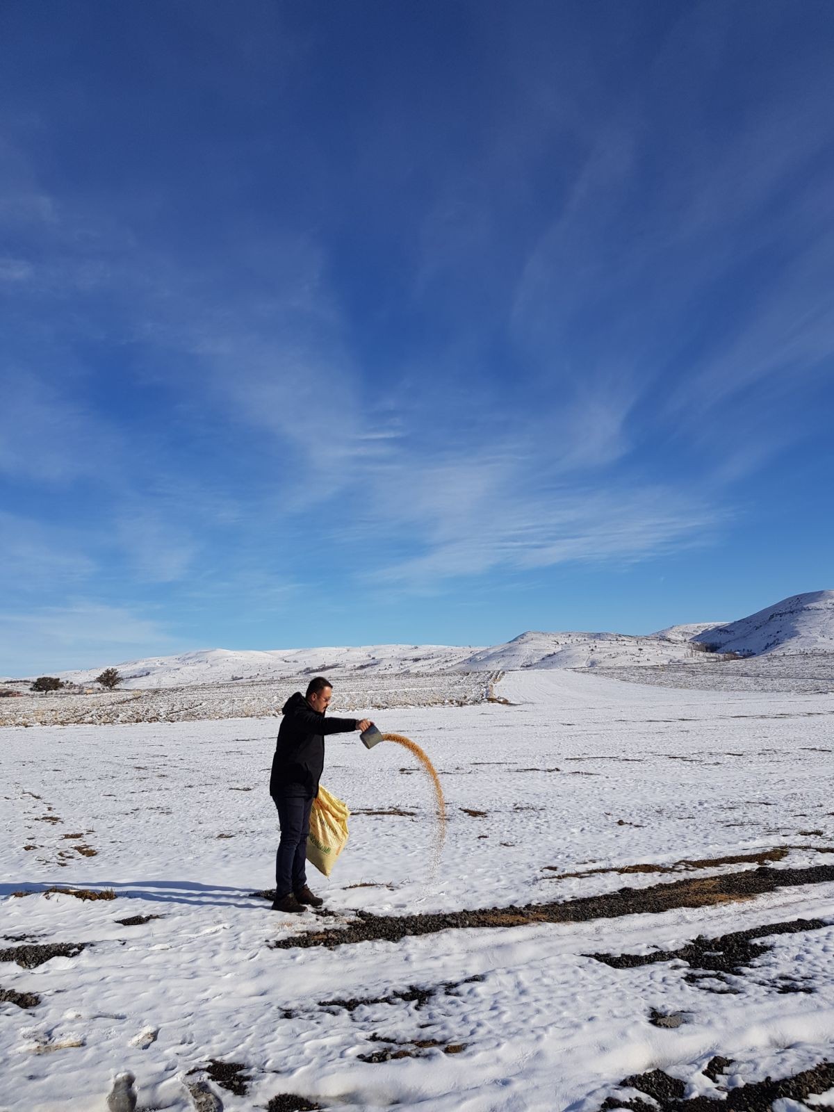 Aç kalan kuşlar için 85 kilometre giderek aralıklarla yem bıraktı 