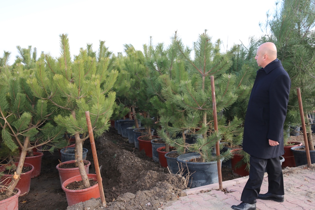 KOCASİNAN’IN FİDANLIĞI AR-GE FAALİYETİ YÜRÜTÜLEN ÜRETİM MERKEZİ