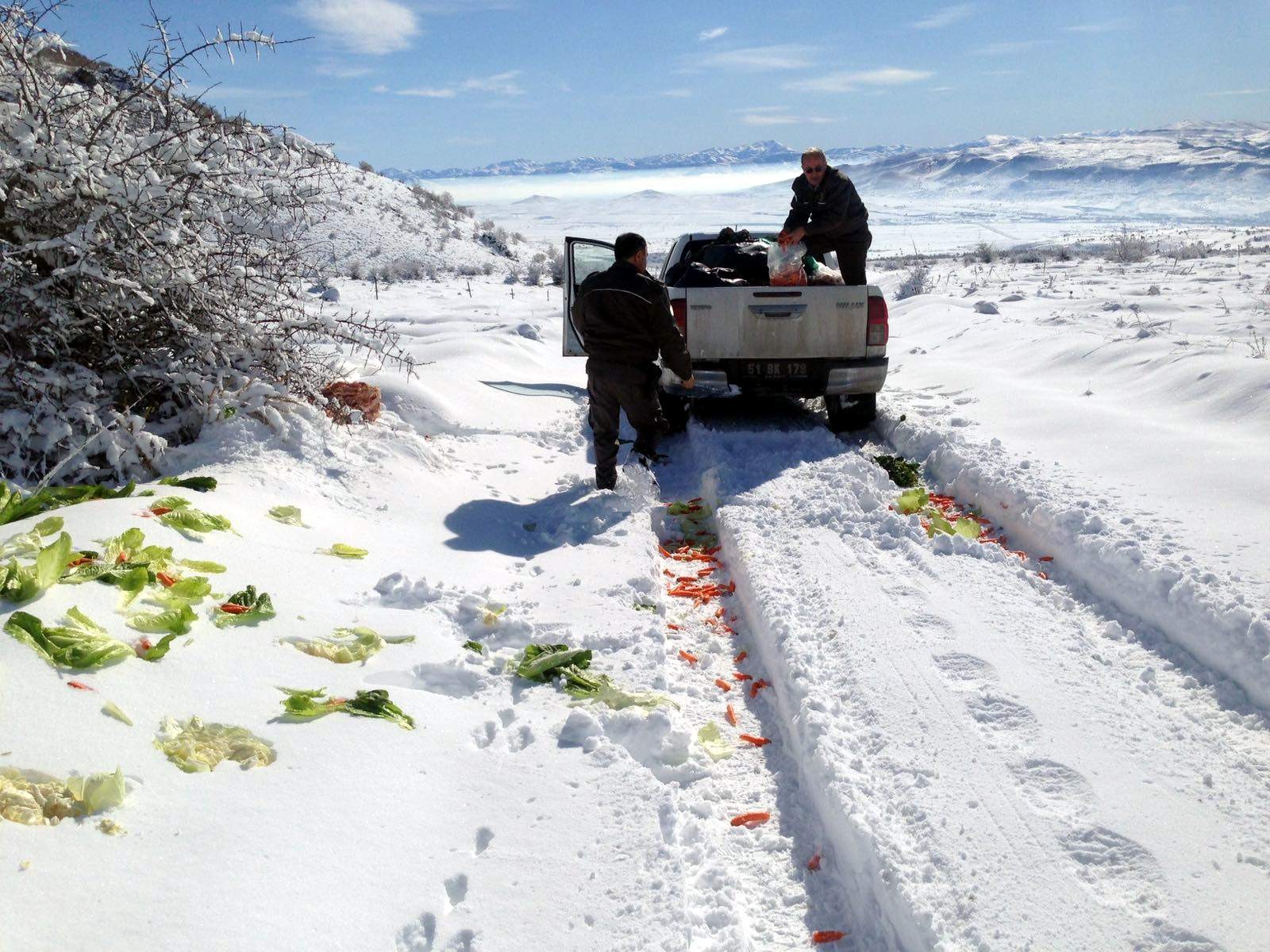 Kayseri Orman ve Su İşleri Müdürlüğü yaban hayvanları için yem bıraktı