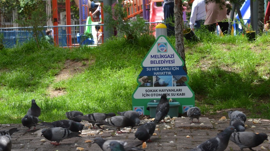 Melikgazi Belediyesi sokak hayvanlarını unutmadı