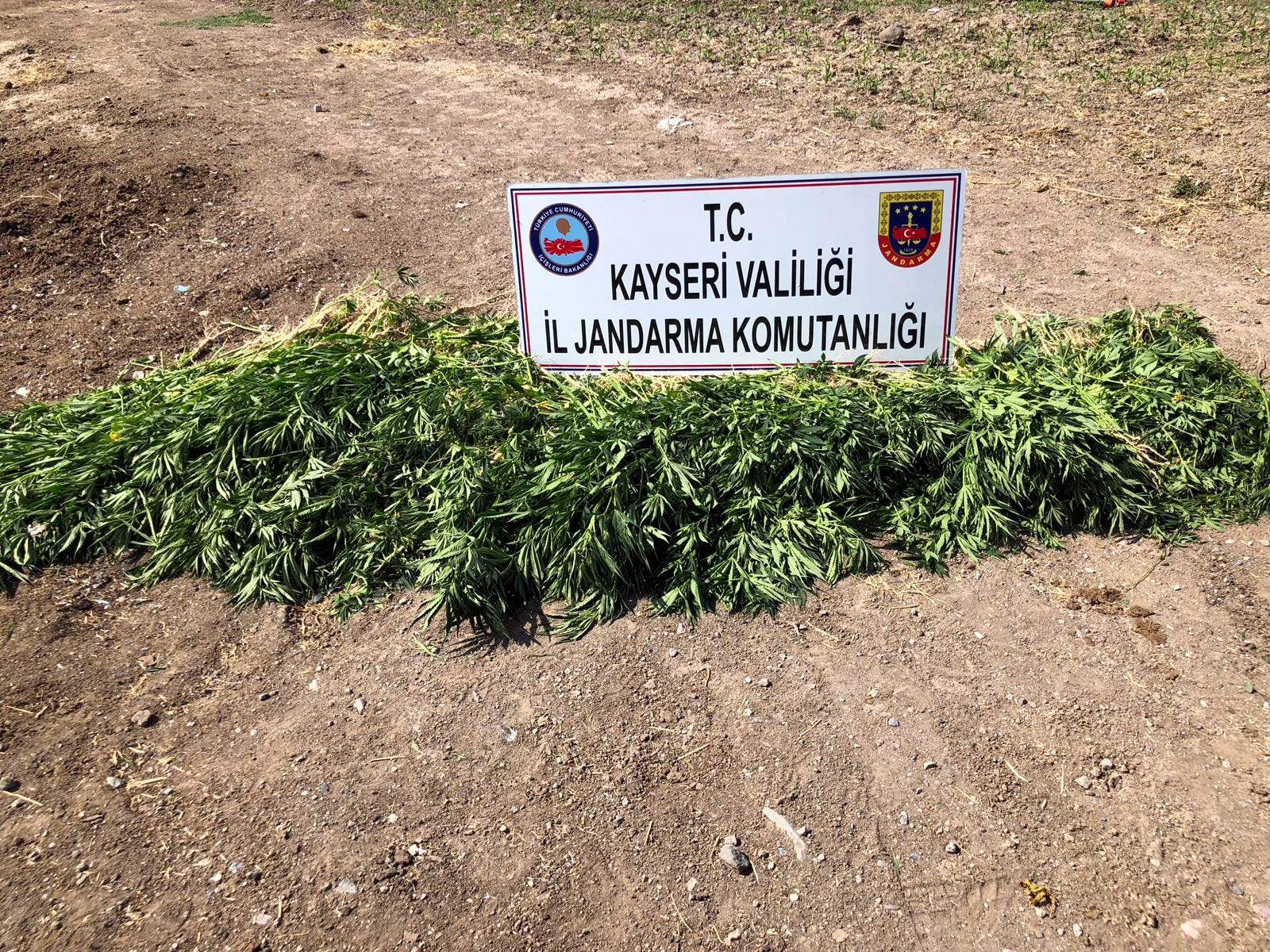 Jandarmadan uyuşturucuya geçit yok