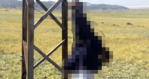 Terör Örgütü PKK, Ağrı’daki Mevlüt Bengi Cinayetini Üstlendi