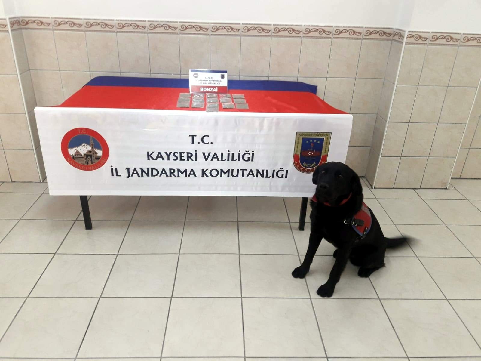 Jandarmadan uyuşturucu operasyonu
