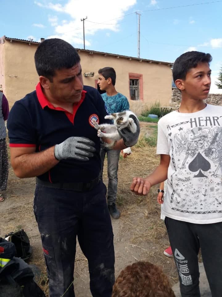 Çukura düşen yavru kediyi itfaiye kurtardı