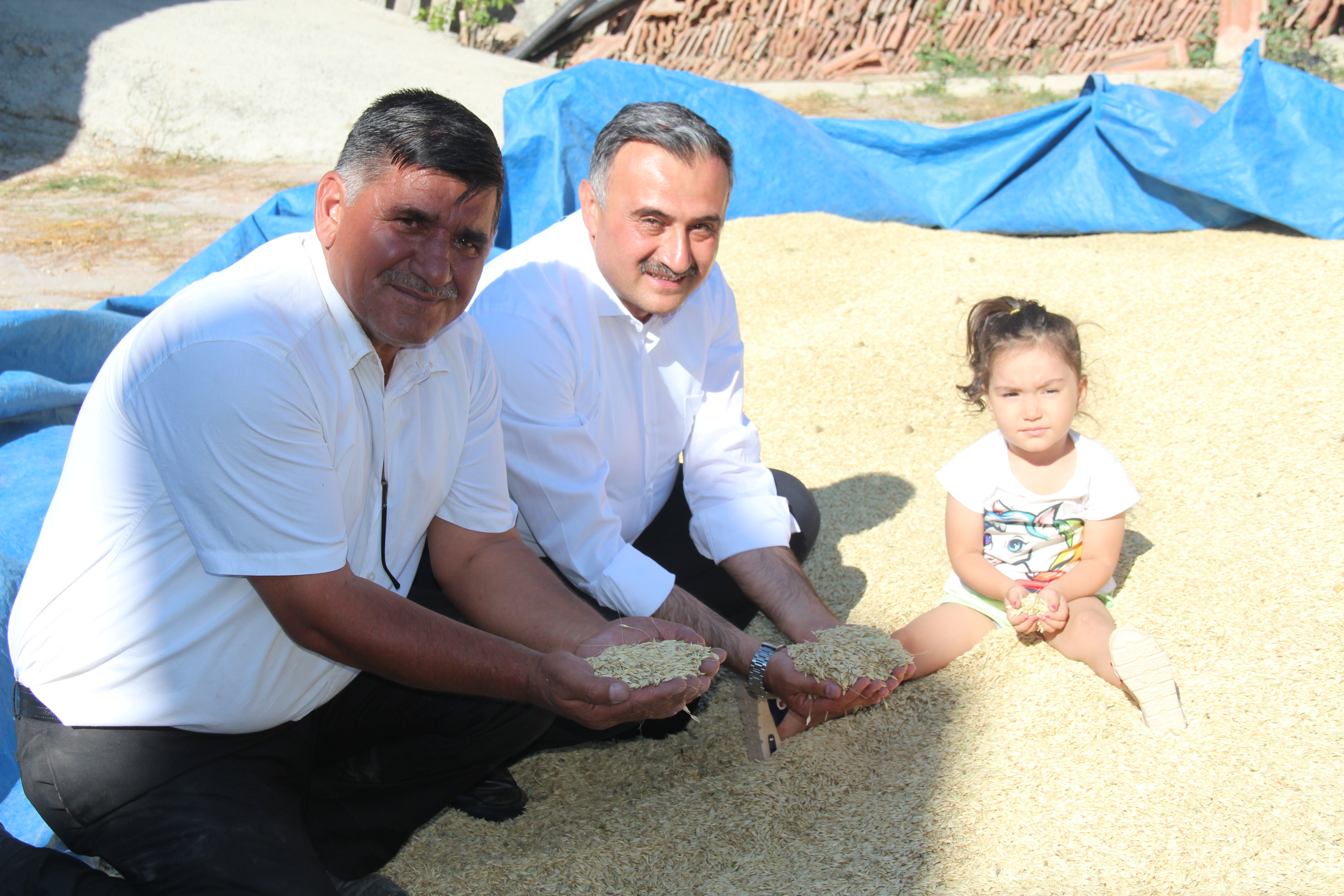 Develi’de Gacer Hasadı Başladı
