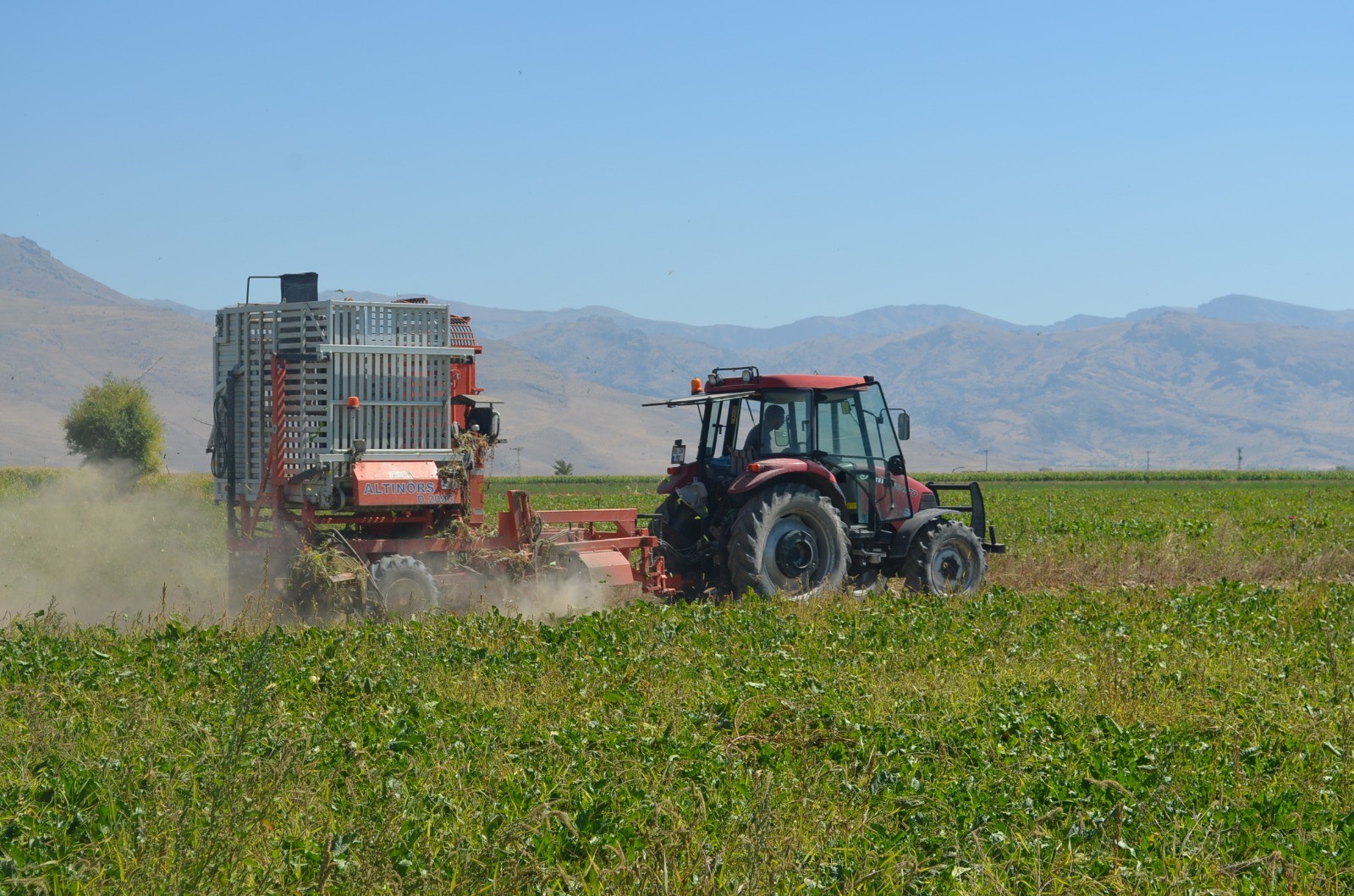 Pancar Çiftçisi verilen fiyatlardan memnun
