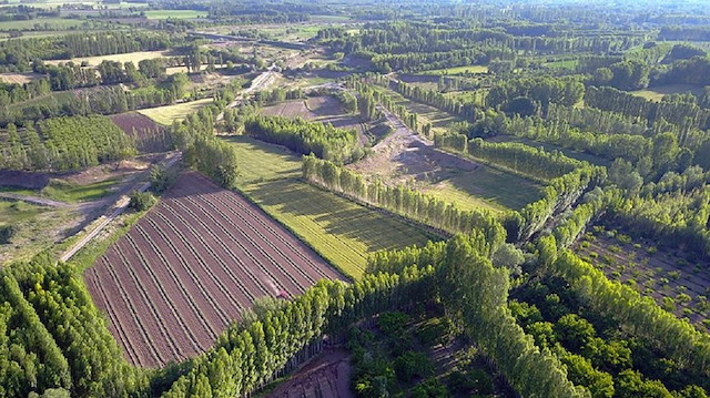 2/B ve Tarım Arazisi Satışlarında Süre Uzatıldı