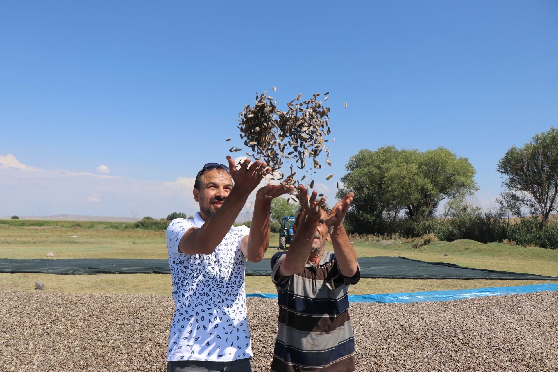 Çiftçiler ‘Çin’ çekirdeğini Kayseri’de üretti