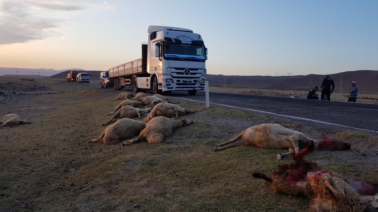 Tır sürünün arasına daldı, 18 hayvan telef oldu