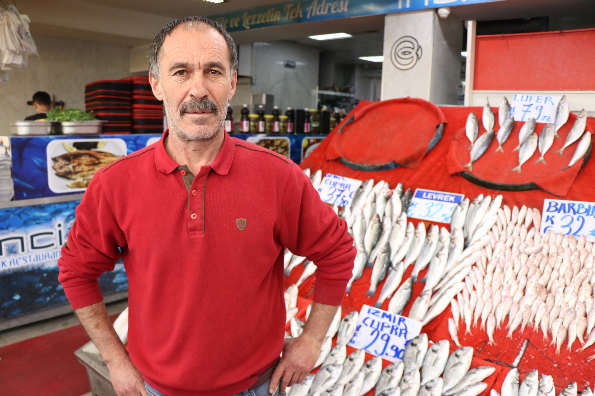 Balıkçılarda ‘Palamut’ sevinci