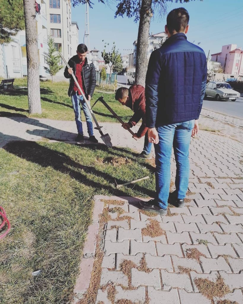 Ülkücü Ocakları Cami Temizliği ve Fidan Dikimi Yaptı