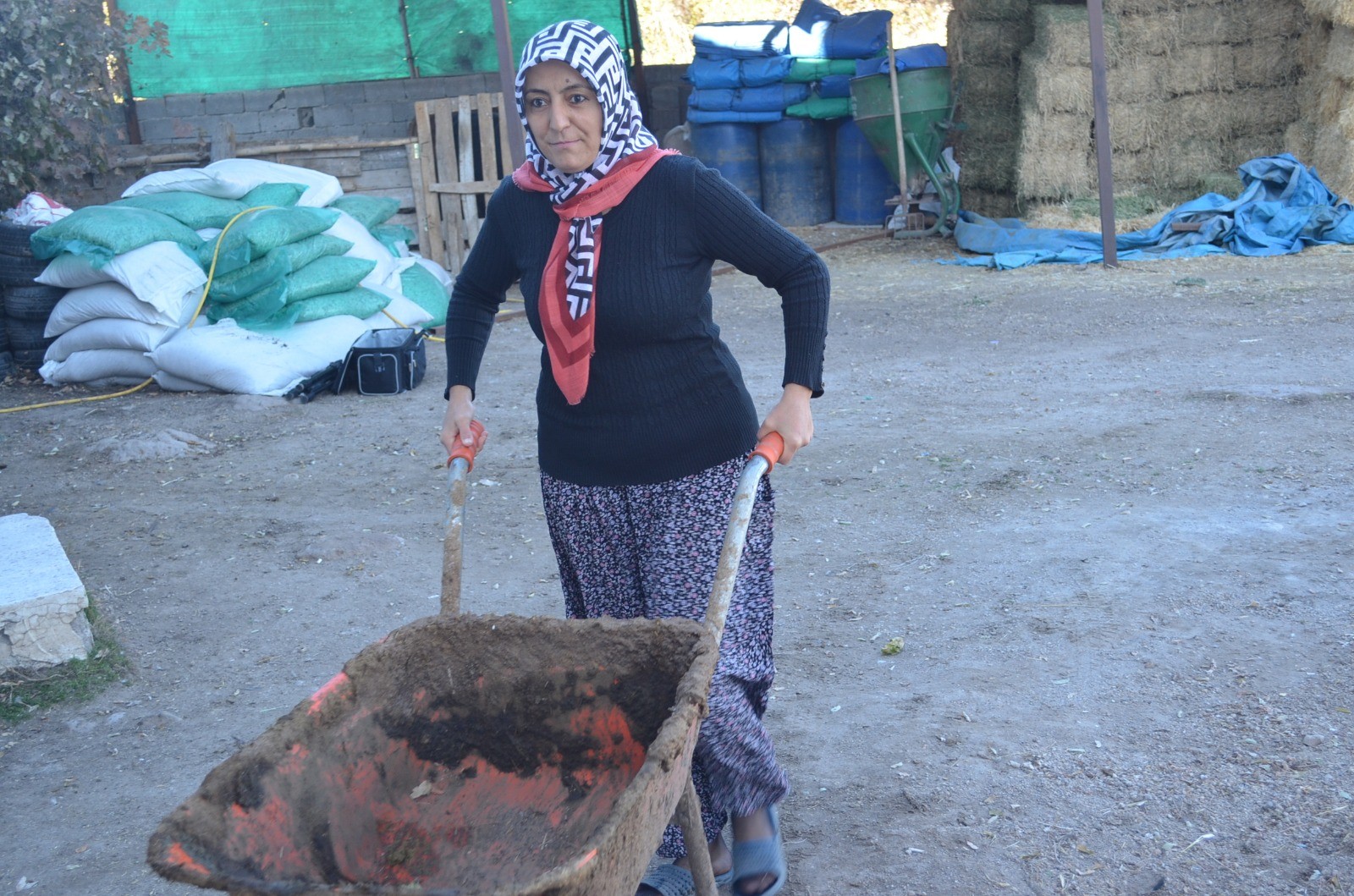 4 çocuk annesi kadın hayvancılık yapmak için köye taşındı