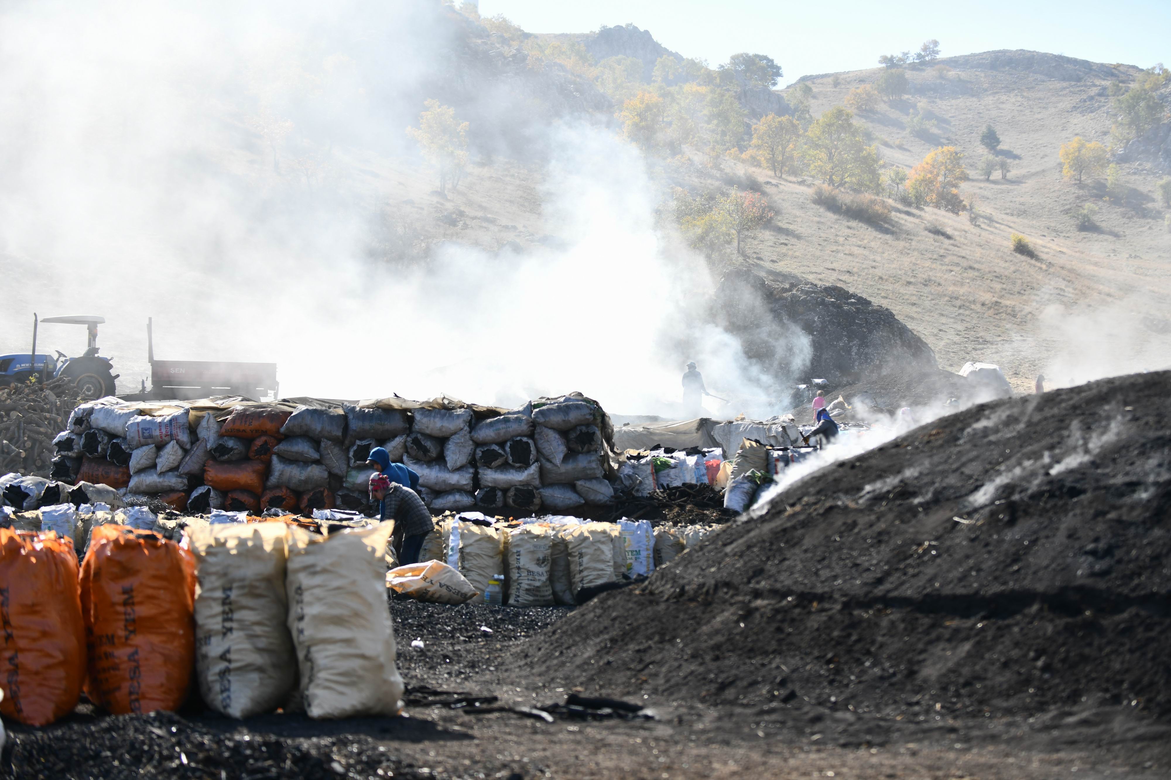 (Özel) Meşe ağacının mangal kömürü olma yolculuğu