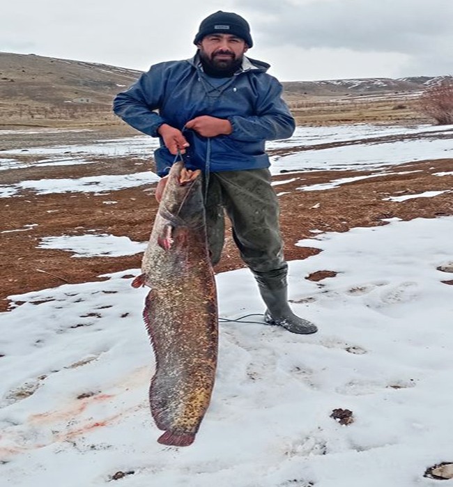 Dev canavarı böyle taşıdı