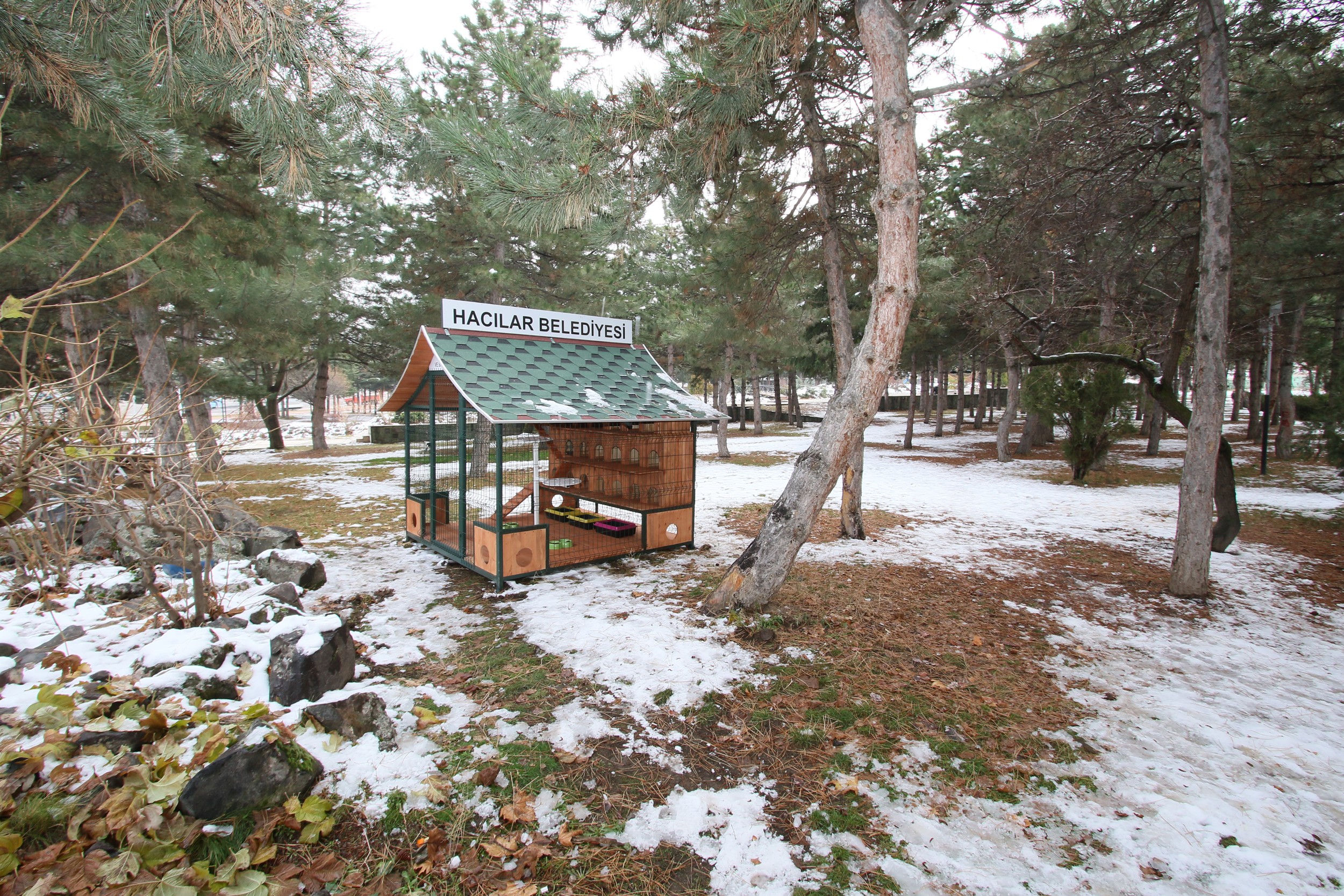 Sokak kedileri için sığınma ve beslenme evi
