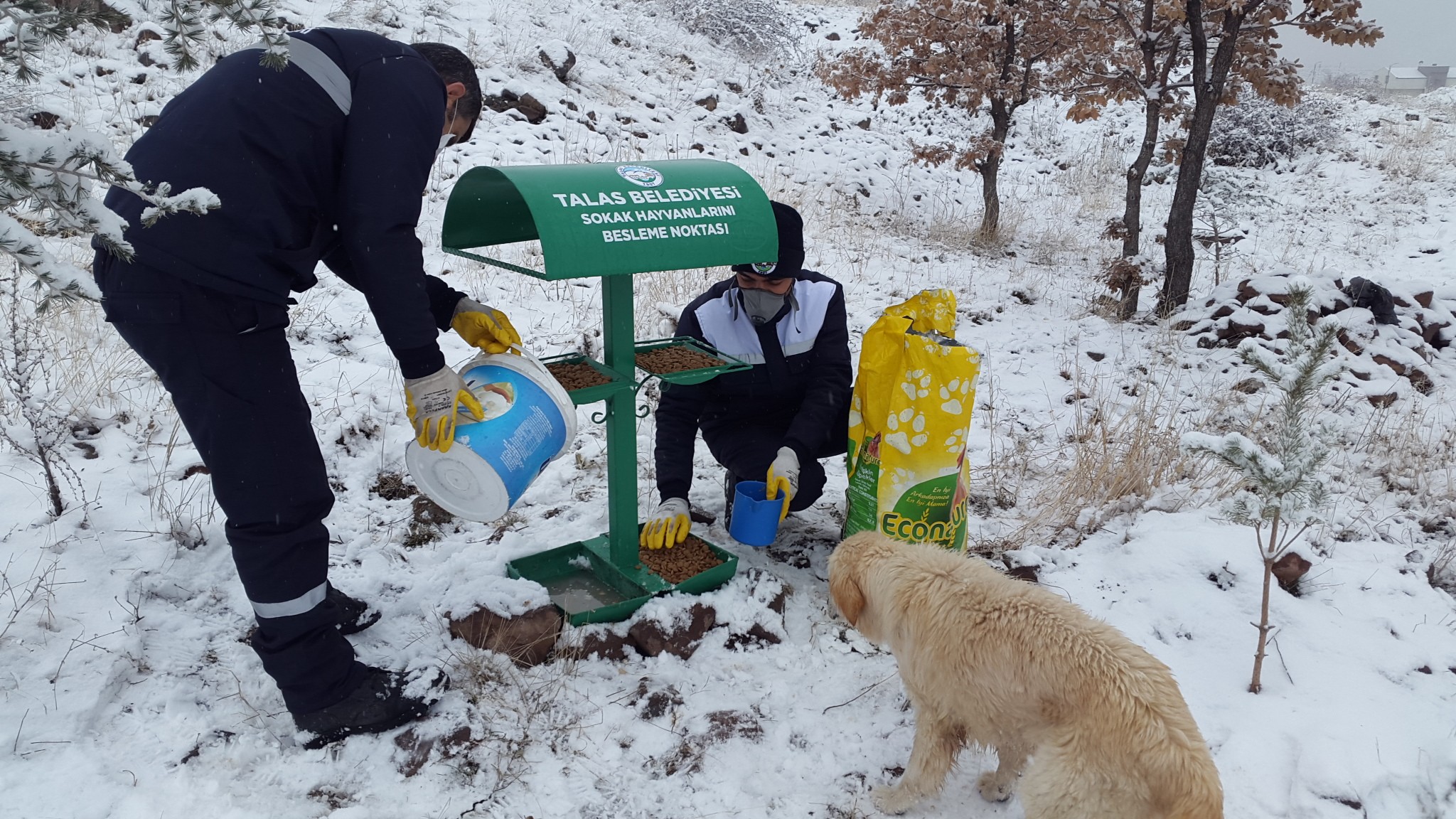 Yerleşim alanlarına inmesinler diye
