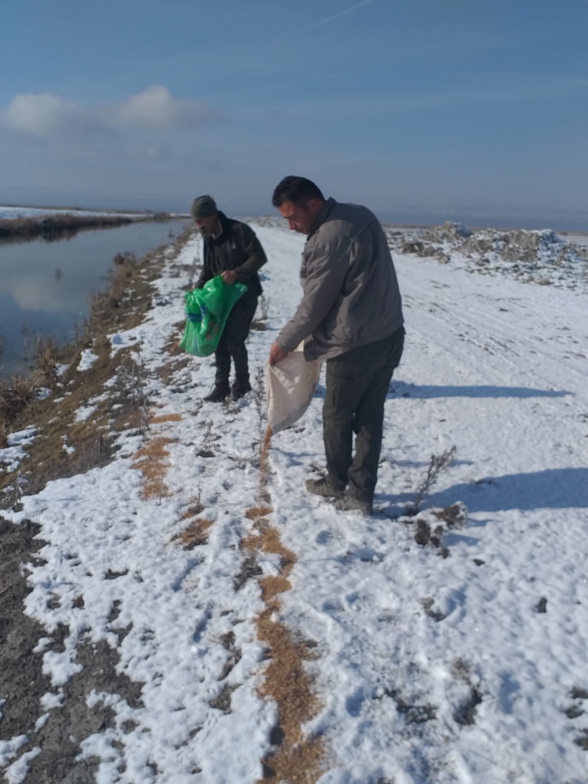 Yaban hayvanlarına yem bırakıldı