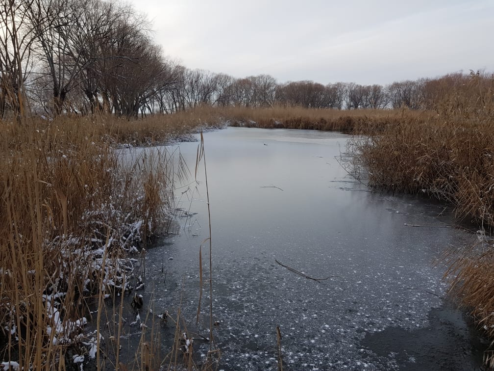 Sultan Sazlığı’ndaki göl soğuk havada buz tuttu