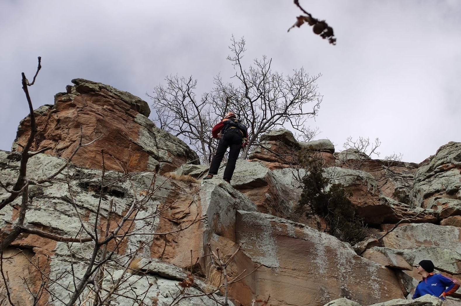 Uçurumda mahsur kalan 15 keçi, 12 saatte kurtarıldı