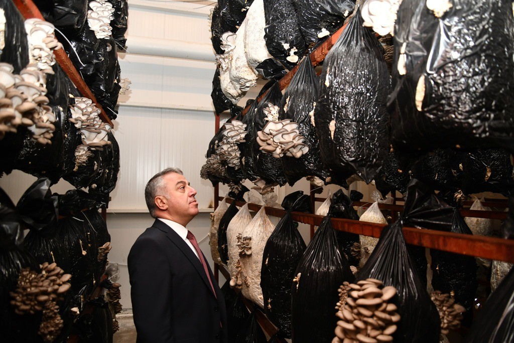 KKDP desteklemeleri meyvesini vermeye devam ediyor