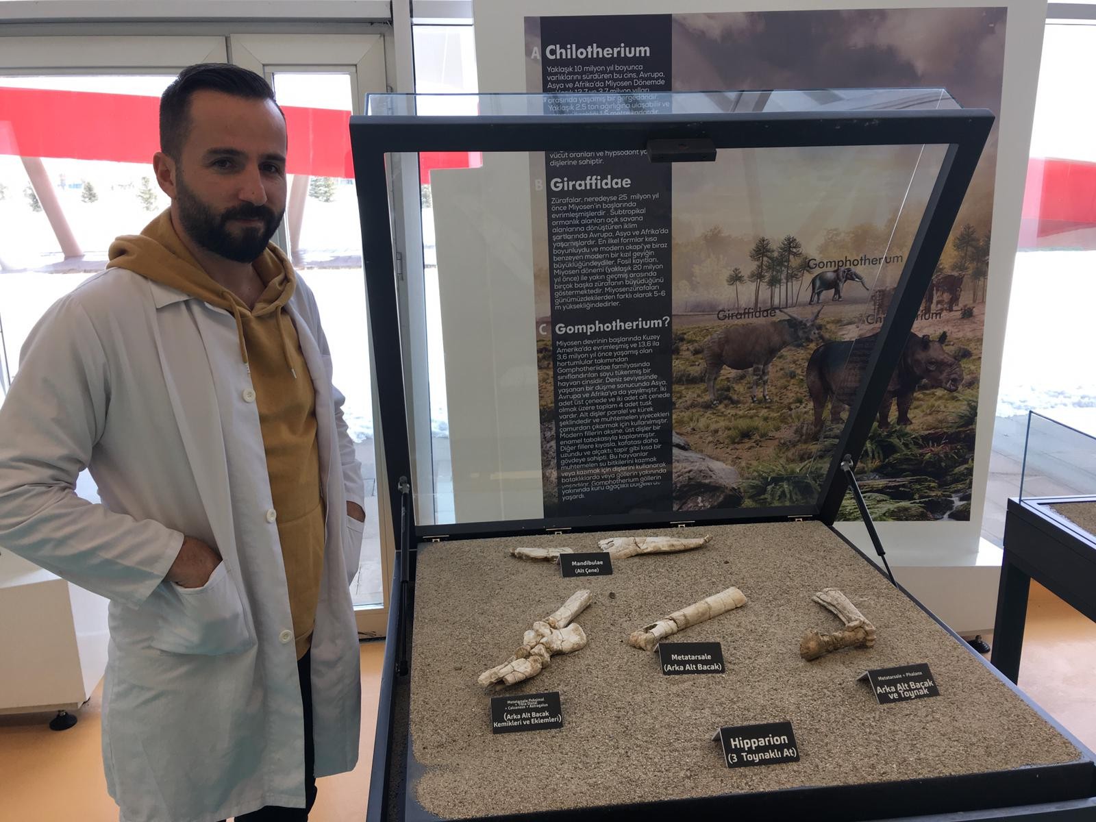 Kayseri’de 7 buçuk milyon yıllık 3 toynaklı at fosilleri bulundu