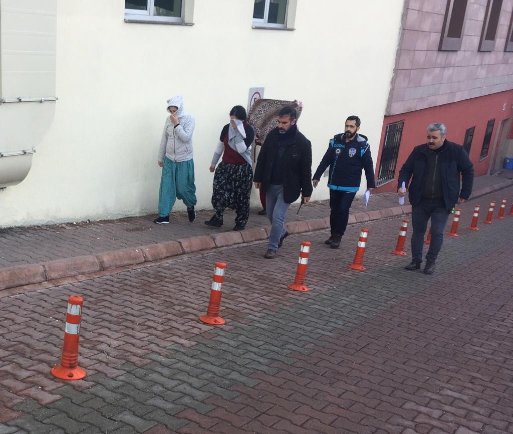 Ev fareleri yakalandı