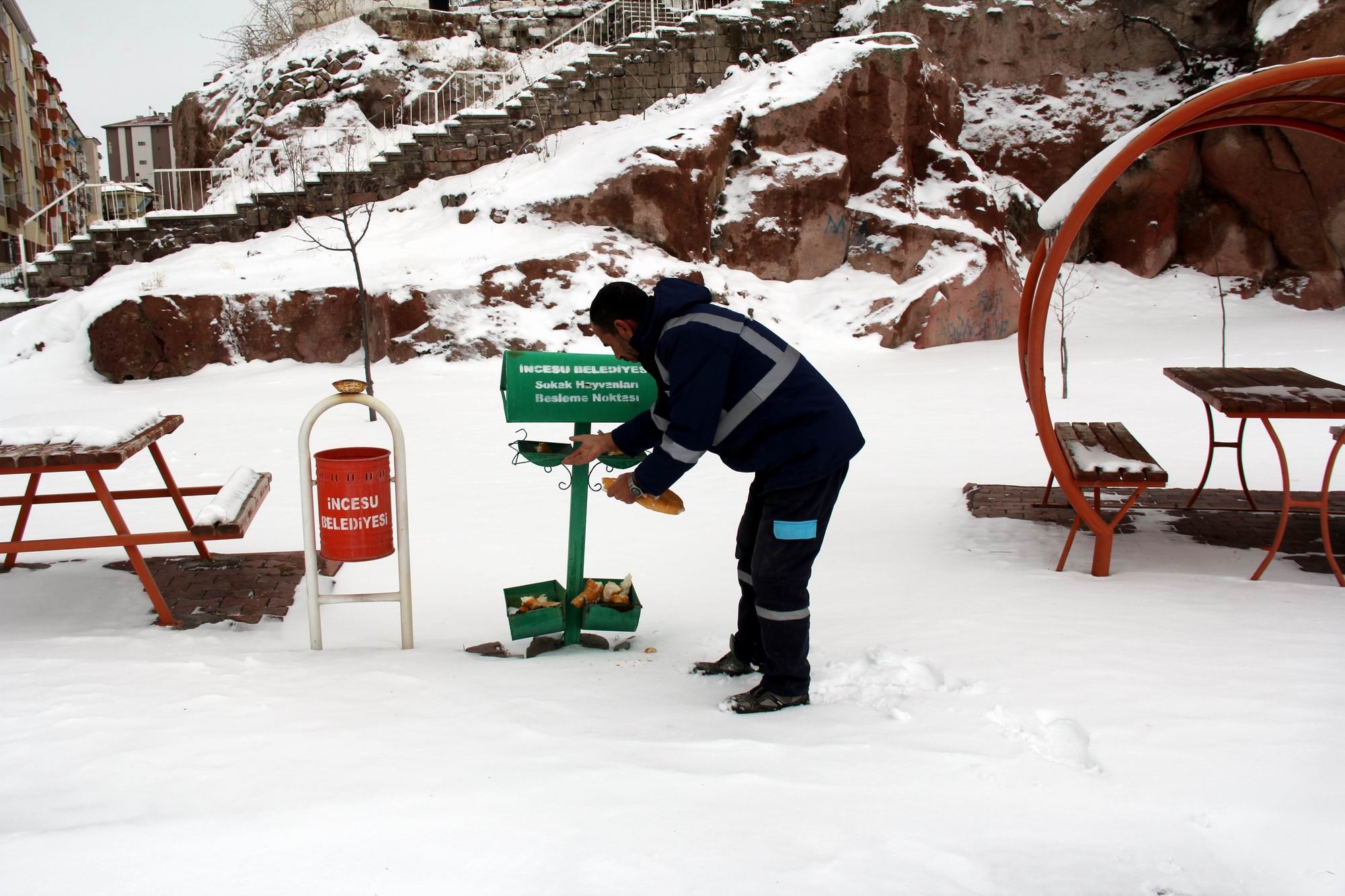 Hayvan dostu İncesu