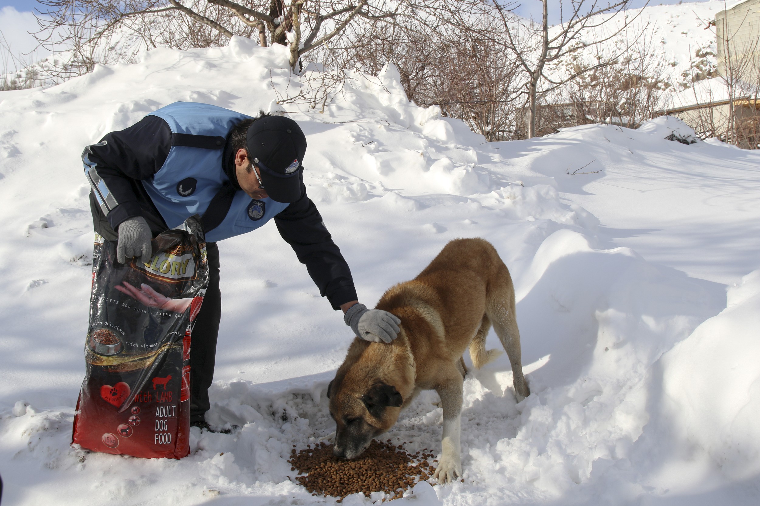 Sokak hayvanları unutulmadı