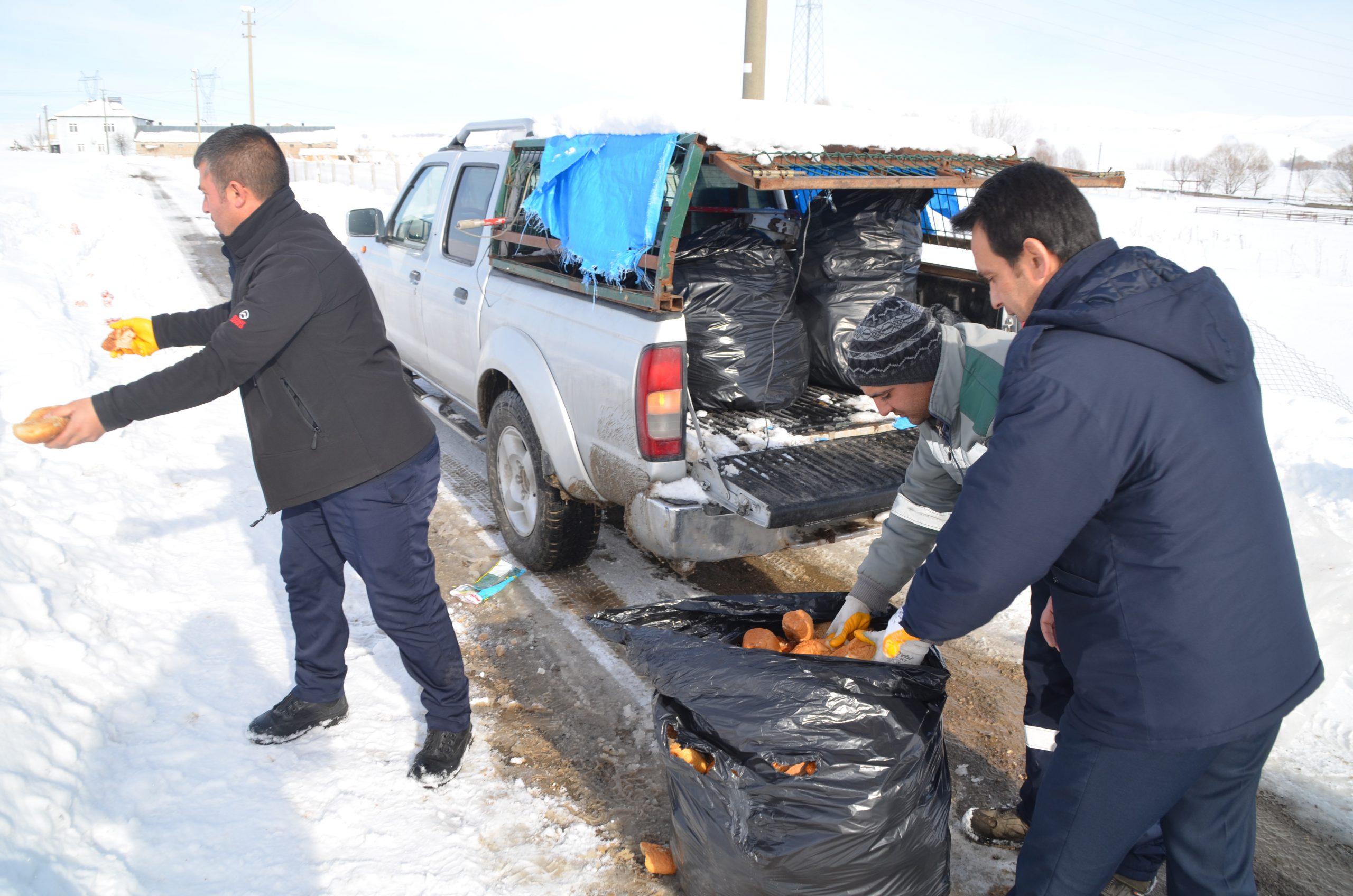 Bünyan Belediyesi sokak ve yaban hayvanlarını unutmuyor