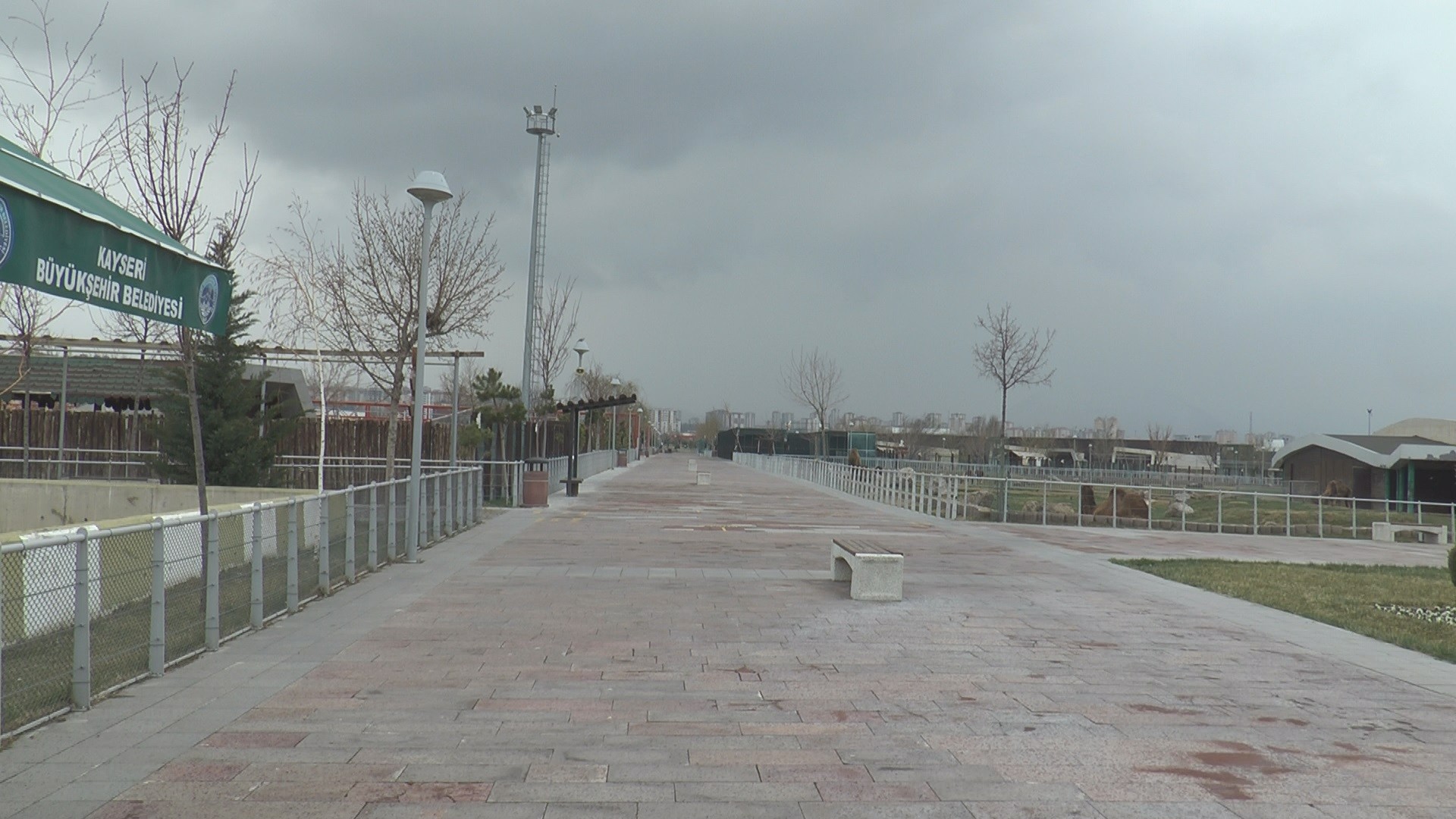 Binlerce ziyaretçisi olan hayvanat bahçesi ıssız kaldı