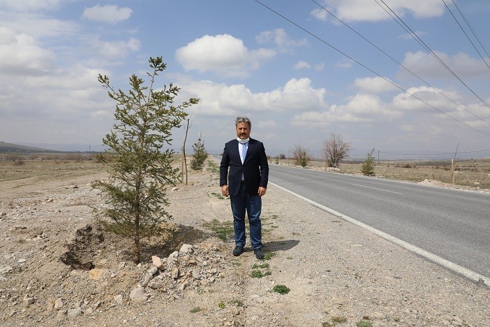 Güzelköy ve Gürpınar yolu yeni ağaçlarla şenlenecek