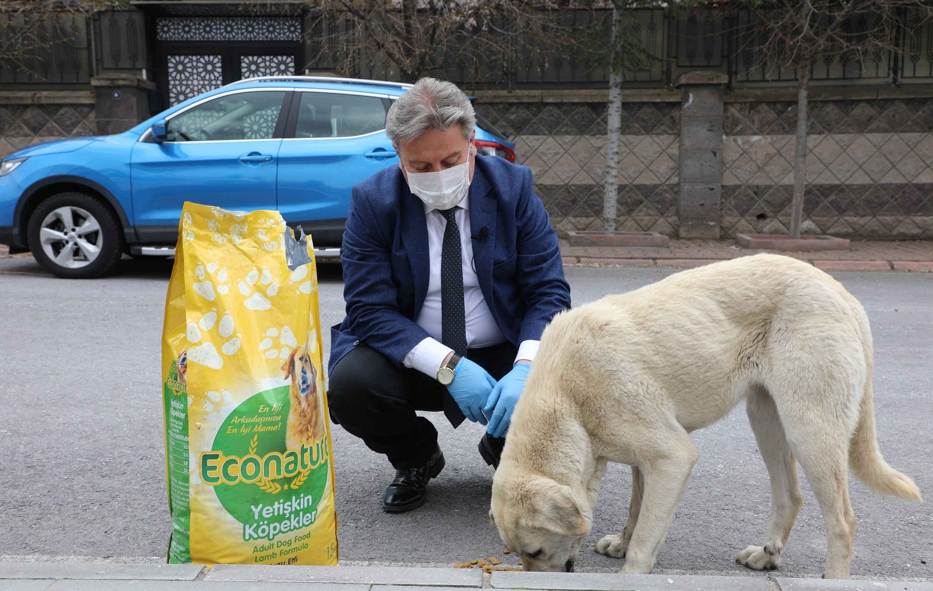 Melikgazi’de salgına rağmen sokak hayvanları unutulmadı