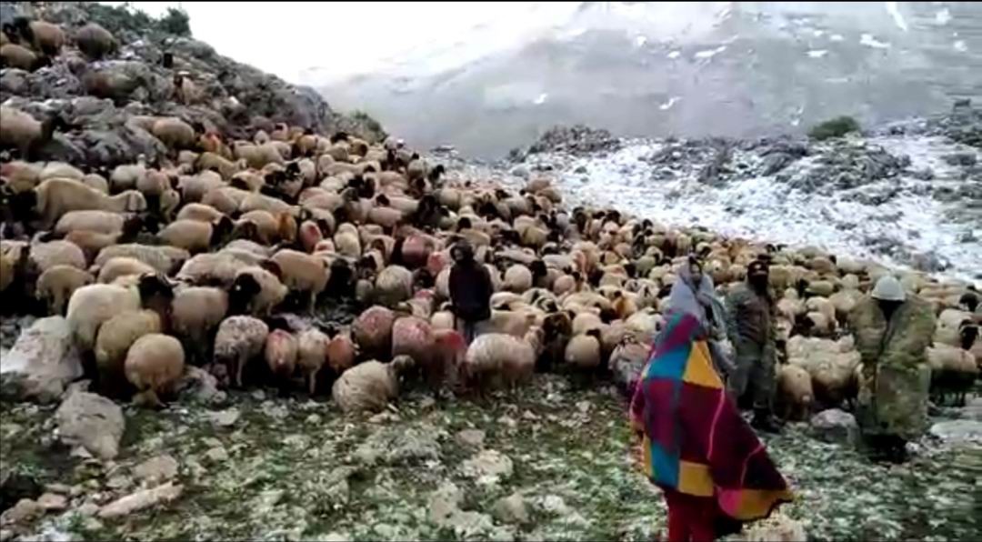 ‘Yörük anaya’ vali sahip çıktı