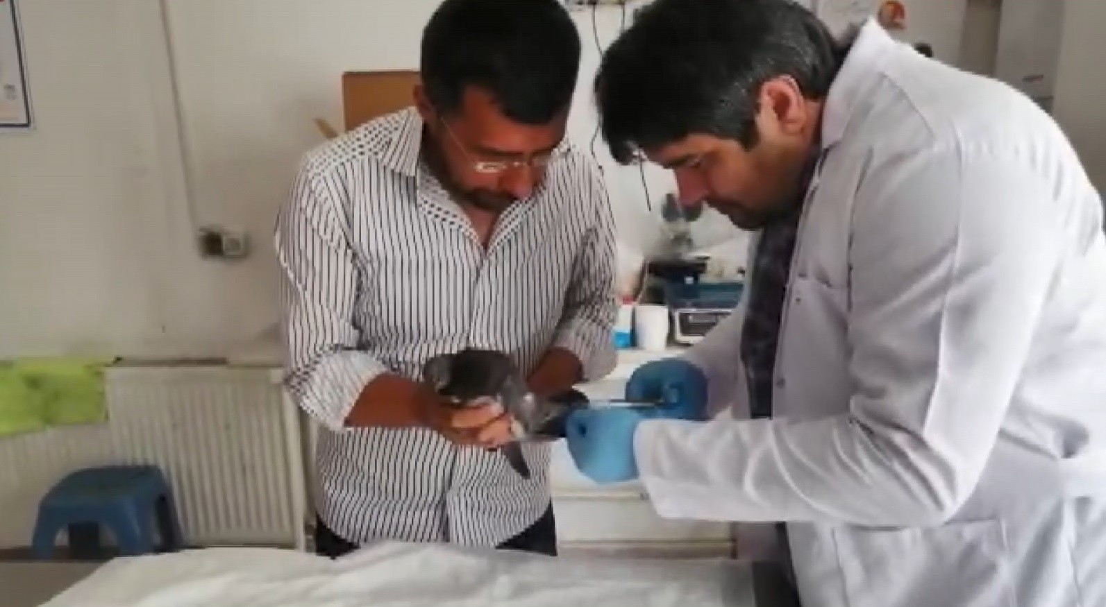 Ayağı kangren olan güvercini kurtardılar, uçuşunu kayda aldılar