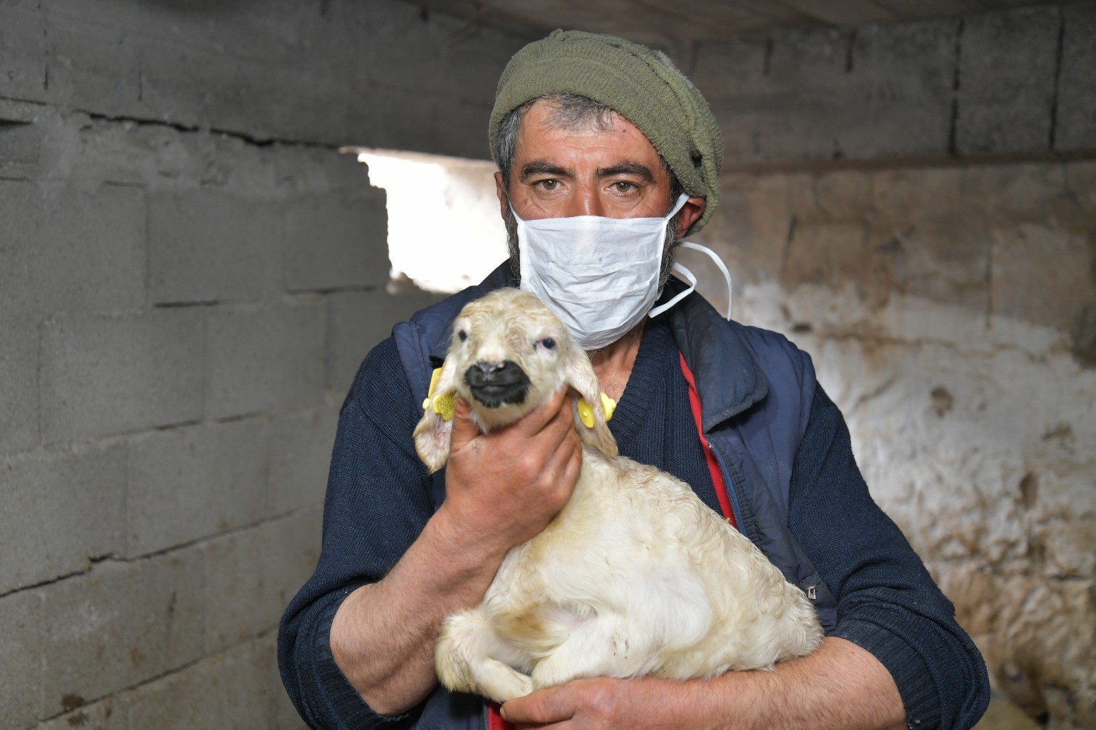 20 yıl sonra köyüne geri dönerek besiciliğe el attı