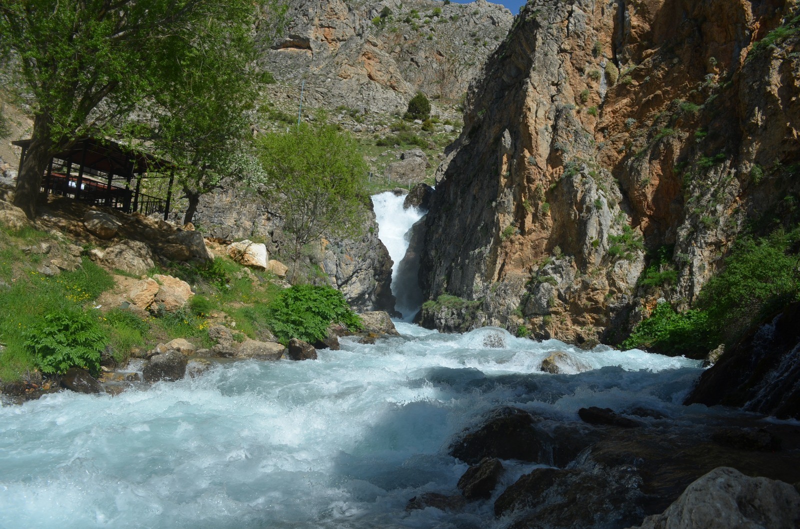 Doğada ‘Korona virüs’ sessizliği