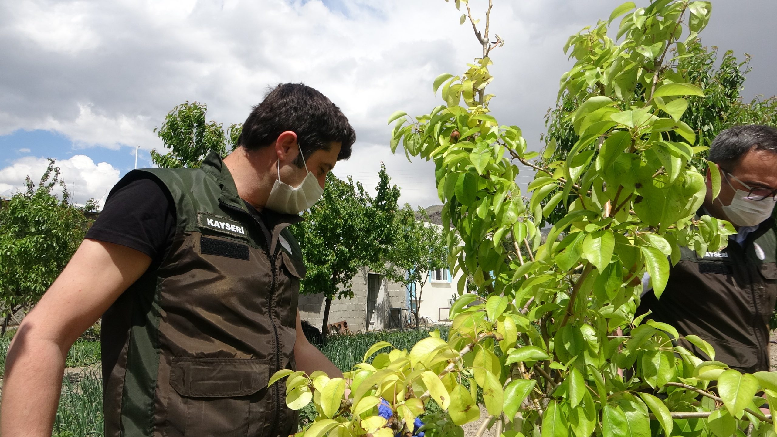 Koronaya yakalanan üreticinin gözü arkada kalmıyor
