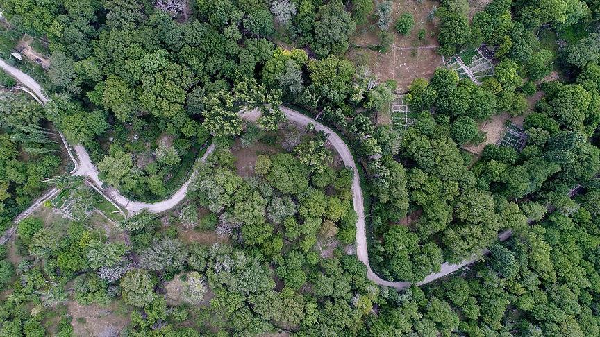 Başkan Palancıoğlu: “Koramaz Vadisi hak ettiği değeri buldu”