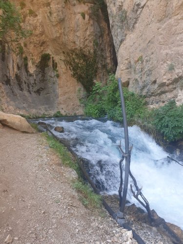 Dereye düşen Rana hayatını kaybetti