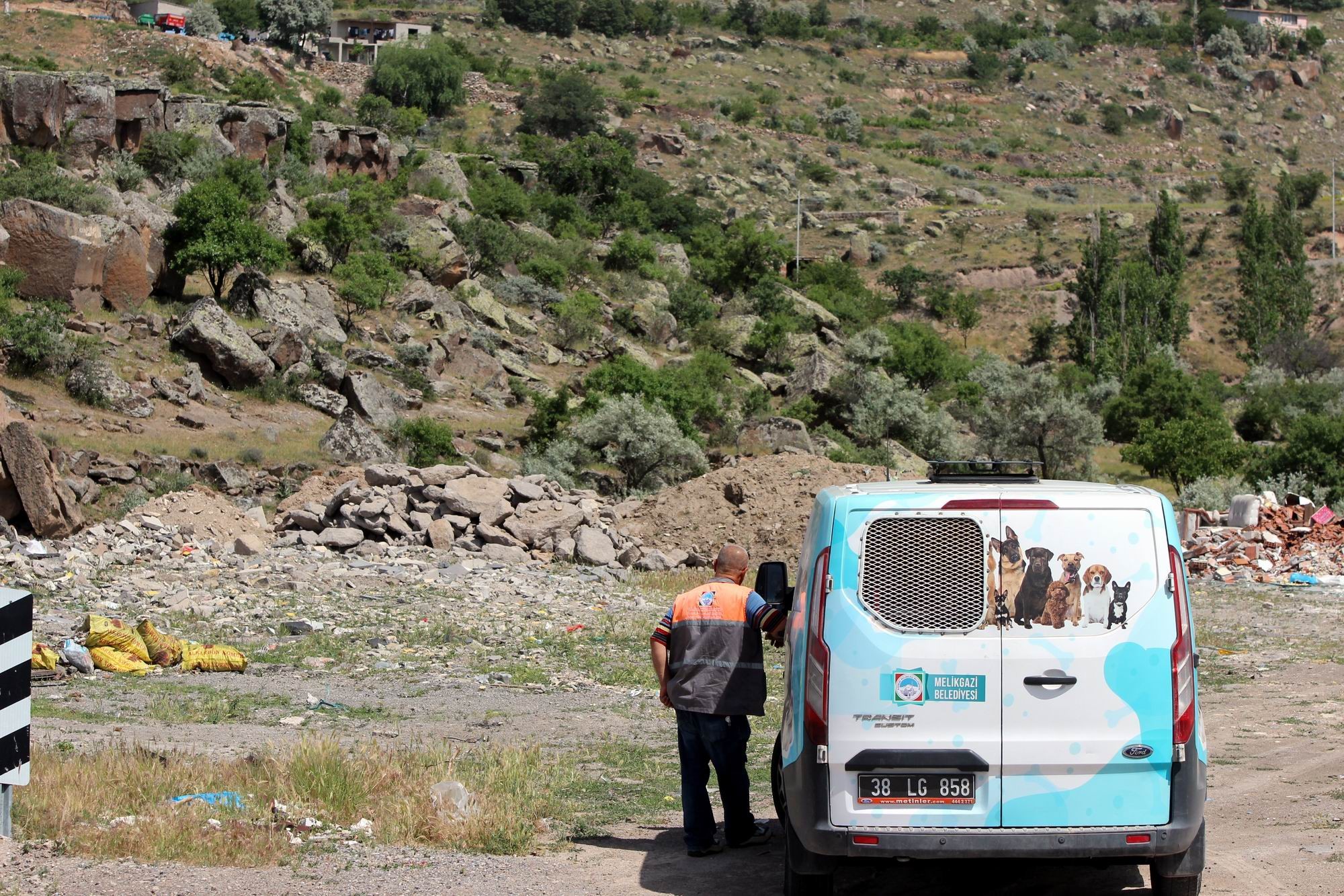 Mahallelinin kurt gördüğü ihbarı ekipleri harekete geçirdi